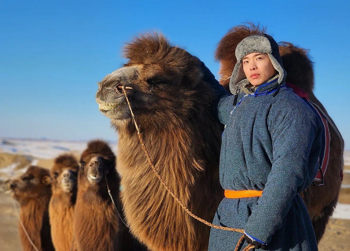 EBS World Theme Travel — Mongolia (camel)